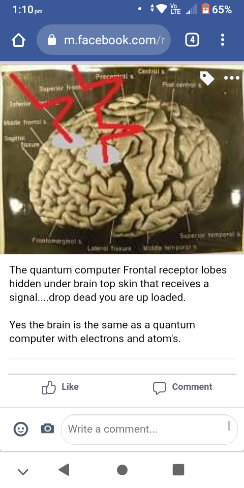 Hidden frontal lobes brain.